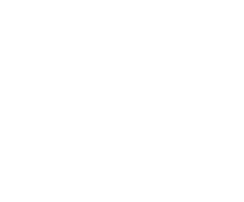 LOGO-GSO-BLANC